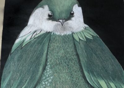 greenbird_birddrawing_green_animals_drawing_poster_birds_fugl
