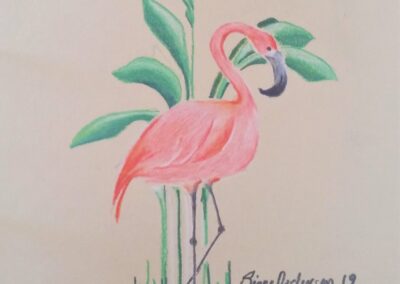 Flamingo