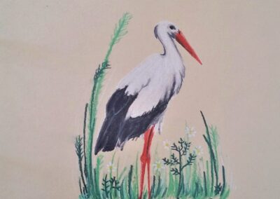 Stork